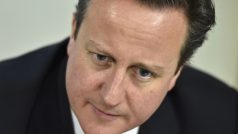 Podle britského premiéra Davida Camerona nelze spoléhat pouze na policii a kontroly na hranicích