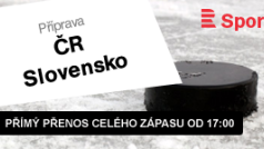 Hokejová příprava: ČR - Slovensko