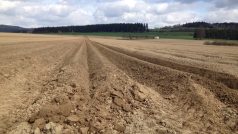 Zemědělci na Vysočině začali sázet brambory - mezi prvními Agro Měřín na Žďársku