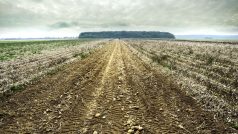 50% veškeré zemědělské půdy je ohroženo vodní erozí