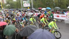 Letos se společný šampionát uskutečnil v Žilině. Na snímku závod cyklistů s hromadným startem