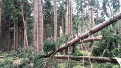 Lesy na Orlickoústecku poničila bouře. Lesníci odklízejí popadané stromy a sčítají škody