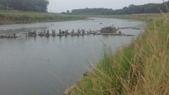 Sucho odkrylo v řece Moravě dřevěné kůly z 19. století