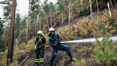 Podle prvotních informací požár u obce Branžež na Mladoboleslavsku v začátku zasáhl plochu asi 250 krát 150 metrů