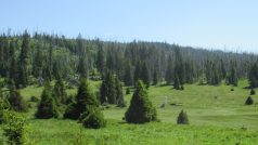 Luzenské údolí v NP Šumava