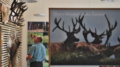 Nové návštěvnické centrum Kvilda nabízí naučný okruh o životě jelenů a výběh, který je představuje v jejich přirozeném prostředí
