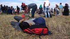 Uprchlíci na cestě přes Řecko, Balkán a Maďarsko do Německa