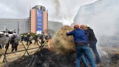 Několik tisíc zemědělců protestuje v Bruselu kvůli nízkým výkupním cenám mléka