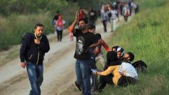 Stovky urchlíků se snaží překročit srbsko-chorvatské hranice