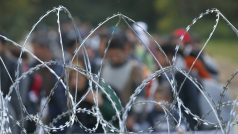 Migrantům v přechodu do Maďarska brání žiletkový plot