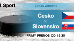 Hokejový zápas veteránů: Česko - Slovensko