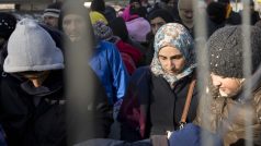 Migranti na slovinsko-rakouském přechodu ve Spielfeldu