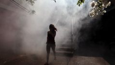 V Salvadoru se snaží zničit larvy komárů, kteří virus Zika přenášejí