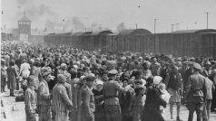 Židé z Podkarpatské Rusi během selekce při příjezdu do Osvětimi