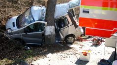 Dva lidé zemřeli při nehodě nedaleko Skřipova na Opavsku, šlo o 33letou ženu a pětiletého chlapce