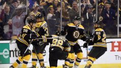 David Pastrňák slaví svůj gól v zápase Bruins s Detroitem