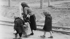 Židovská žena kráčející s dětmi k plynové komoře v Osvětimi