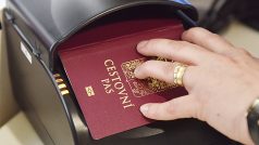 Cestovní pasy, pas, cestovní doklad