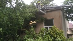 Následky bouře v Rychnově nad Kněžnou