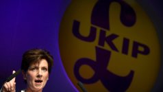 Diane Jamesová, nový lídr britské strany UKIP