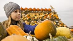 Polská katolická církev vytáhla do boje proti Halloweenu