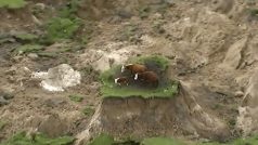 Zemětřesení na Novém Zélandu doprovázely sesuvy půdy. Tři krávy se zachránily na  malém ostrůvku
