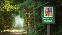 Stachy, Losenické údolí, hranice NP Šumava