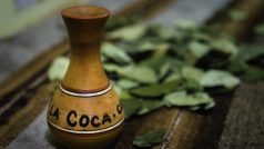 V Andské oblasti podél pacifické strany jihoamerického kontinentu se koka užívá v lidovém léčitelství