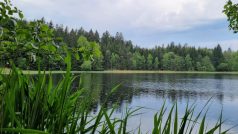 Lesní rybníky u Slavonic se stanou přírodní památkou, na snímku rybník Dědek