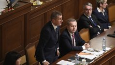 Premiér Andrej Babiš hlasuje proti nedůvěře vládě
