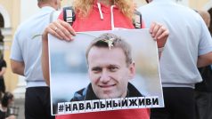 Navalného případ je pouze dalším v řadě podobných kauz, které končily buď smrtí, anebo těžkými následky pro opoziční novináře, aktivisty či politiky.