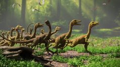 Velociraptor, dinosaurus, dinosauři