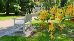 Po devítiměsíční revitalizaci památkáři otevřeli zámecký park v Třeboni