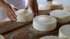 Výroba sýra