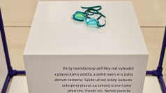 Jeden z příběhů výstavy Obyčejné předměty, neobyčejná bolest reprezentují například plavecké brýle