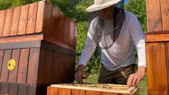 O podnikové úly se stará pracovník Spolchemie a včelař Roman Dejmek