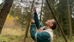 Sonda na teleskopické tyči rozpozná stromy napadené kůrovcem