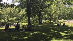 Central Park je jedno z míst, kde během pandemie narychlo vyrostla polní nemocnice pro pacienty s nemocí covid-19