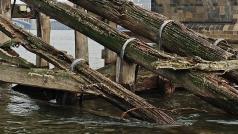 Dřevěné ledolamy pod Karlovým mostem v Praze čeká po 15 letech výměna