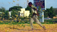 Invaze kobylek už letos Afriku zasáhla (ilustrační foto)