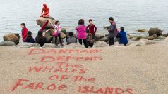 „Dánsko chrání velryby kolem Faerských ostrovů,“ stojí anglicky napsané na chodníku před známou sochou.