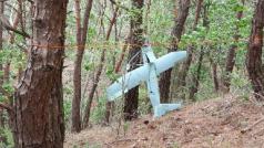 Snímek bezpilotního letadélka, které jihokorejská armáda identifikovala jako severokorejský dron. Stroj uvízl mezi stromy na území Jihu, nedaleko demilitarizovaného pásma mezi oběma Korejemi. Fotografii zveřejnilo jihokorejské ministerstvo obrany.