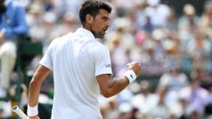 Novak Djokovič porazil ve druhém Wimbledonu kole Adama Pavláska.