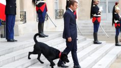 Francouzský prezident Emmanuel Macron našel svého Nema