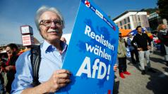 &quot;Realisté volí AfD&quot; hlásá německý předvolební plakát