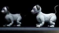 Japonská firma Sony se po víc než deseti letech vrací s novou verzí svého robotického psa Aibo