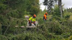 Podle předběžných odhadů jsou škody po sobotní bouřce srovnatelné s orkánem Niklas, který na jaře 2015 na Šumavě vyvrátil 35 tisíc krychlových metrů dřeva