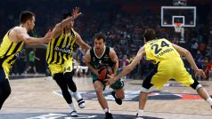 Basketbalisté Fenerbahce (ve žlutých dresech) v utkání proti Žalgiris Kaunas