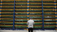 Pracovník kontroluje zařízení na speciální „farmě“ na těžbu bitcoinů