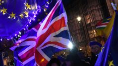 Přestože si většina Britů zvolila odchod z EU, před budovou parlamentu v Londýně se sešla řada odpůrců brexitu.